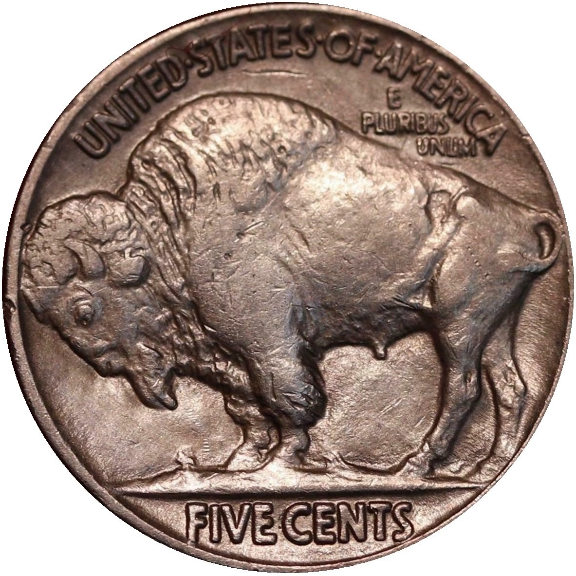 1913-5c-T2-Buffalo-Nickel-#3